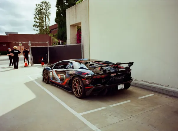 جنغلي وين كازينو تطبيق أندرويد/آي أو إس